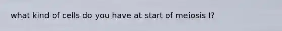 what kind of cells do you have at start of meiosis I?