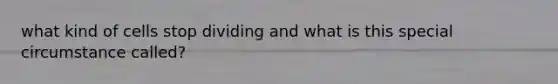 what kind of cells stop dividing and what is this special circumstance called?
