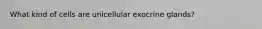 What kind of cells are unicellular exocrine glands?