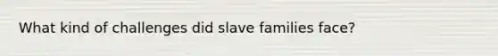 What kind of challenges did slave families face?