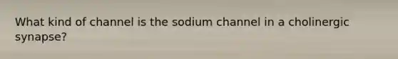 What kind of channel is the sodium channel in a cholinergic synapse?