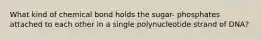 What kind of chemical bond holds the sugar- phosphates attached to each other in a single polynucleotide strand of DNA?