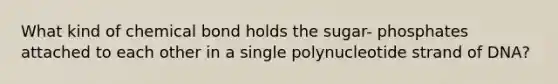 What kind of chemical bond holds the sugar- phosphates attached to each other in a single polynucleotide strand of DNA?