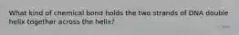 What kind of chemical bond holds the two strands of DNA double helix together across the helix?