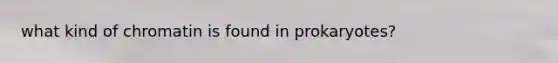 what kind of chromatin is found in prokaryotes?