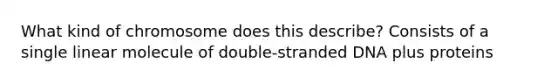 What kind of chromosome does this describe? Consists of a single linear molecule of double-stranded DNA plus proteins