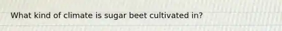 What kind of climate is sugar beet cultivated in?