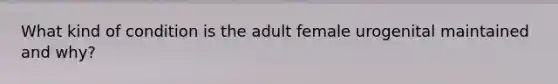 What kind of condition is the adult female urogenital maintained and why?
