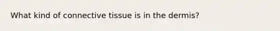 What kind of connective tissue is in the dermis?