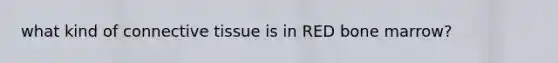 what kind of connective tissue is in RED bone marrow?
