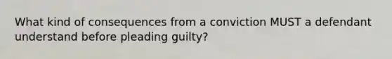 What kind of consequences from a conviction MUST a defendant understand before pleading guilty?