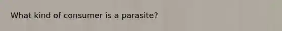 What kind of consumer is a parasite?