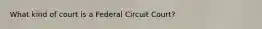 What kind of court is a Federal Circuit Court?