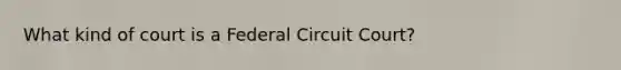 What kind of court is a Federal Circuit Court?