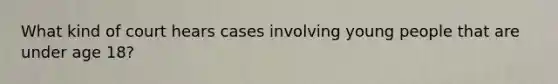 What kind of court hears cases involving young people that are under age 18?