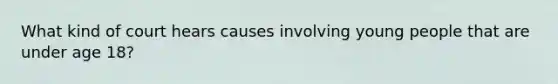 What kind of court hears causes involving young people that are under age 18?