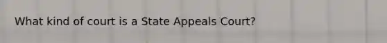 What kind of court is a State Appeals Court?