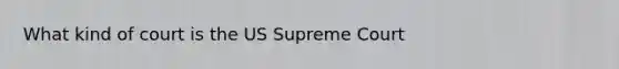 What kind of court is the US Supreme Court