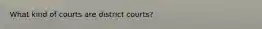 What kind of courts are district courts?