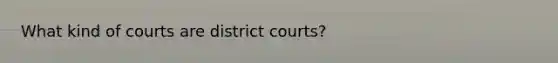 What kind of courts are district courts?