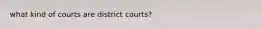 what kind of courts are district courts?