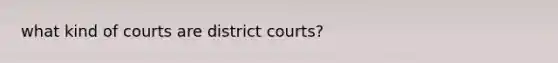 what kind of courts are district courts?