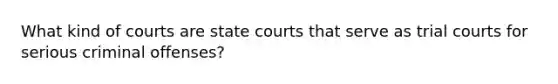 What kind of courts are state courts that serve as trial courts for serious criminal offenses?