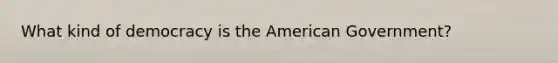 What kind of democracy is the American Government?