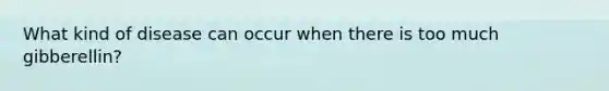 What kind of disease can occur when there is too much gibberellin?