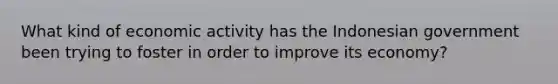 What kind of economic activity has the Indonesian government been trying to foster in order to improve its economy?