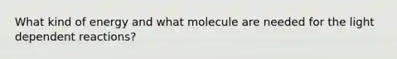 What kind of energy and what molecule are needed for the light dependent reactions?