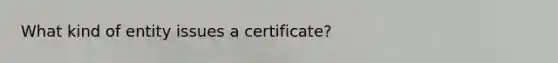 What kind of entity issues a certificate?