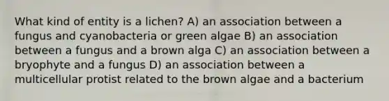 What kind of entity is a lichen? A) an association between a fungus and cyanobacteria or green algae B) an association between a fungus and a brown alga C) an association between a bryophyte and a fungus D) an association between a multicellular protist related to the brown algae and a bacterium