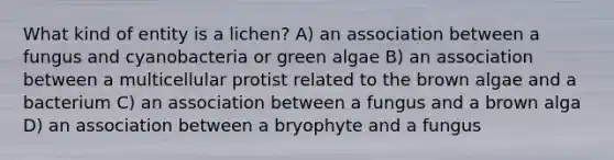 What kind of entity is a lichen? A) an association between a fungus and cyanobacteria or green algae B) an association between a multicellular protist related to the brown algae and a bacterium C) an association between a fungus and a brown alga D) an association between a bryophyte and a fungus