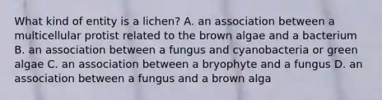 What kind of entity is a lichen? A. an association between a multicellular protist related to the brown algae and a bacterium B. an association between a fungus and cyanobacteria or green algae C. an association between a bryophyte and a fungus D. an association between a fungus and a brown alga