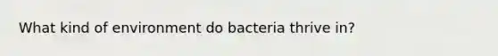 What kind of environment do bacteria thrive in?