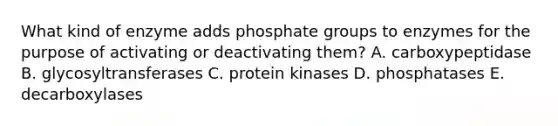 What kind of enzyme adds phosphate groups to enzymes for the purpose of activating or deactivating them? A. carboxypeptidase B. glycosyltransferases C. protein kinases D. phosphatases E. decarboxylases