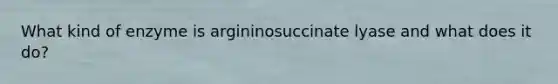 What kind of enzyme is argininosuccinate lyase and what does it do?