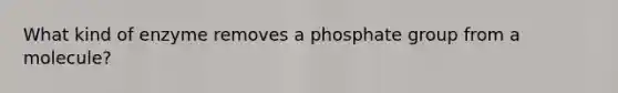 What kind of enzyme removes a phosphate group from a molecule?