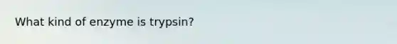 What kind of enzyme is trypsin?