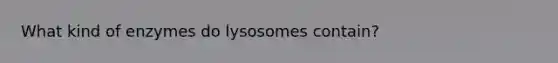 What kind of enzymes do lysosomes contain?