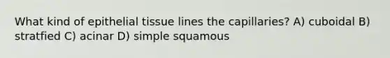 What kind of epithelial tissue lines the capillaries? A) cuboidal B) stratfied C) acinar D) simple squamous