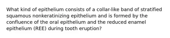 What kind of epithelium consists of a collar-like band of stratified squamous nonkeratinizing epithelium and is formed by the confluence of the oral epithelium and the reduced enamel epithelium (REE) during tooth eruption?