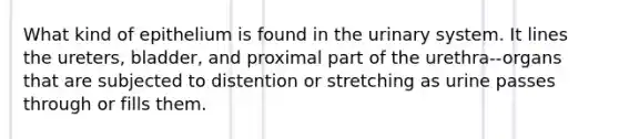 What kind of epithelium is found in the urinary system. It lines the ureters, bladder, and proximal part of the urethra--organs that are subjected to distention or stretching as urine passes through or fills them.