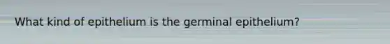 What kind of epithelium is the germinal epithelium?