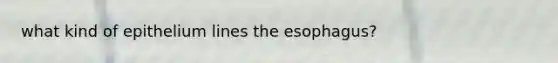 what kind of epithelium lines the esophagus?