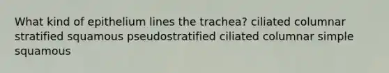What kind of epithelium lines the trachea? ciliated columnar stratified squamous pseudostratified ciliated columnar simple squamous