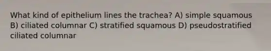 What kind of epithelium lines the trachea? A) simple squamous B) ciliated columnar C) stratified squamous D) pseudostratified ciliated columnar