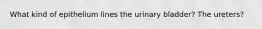 What kind of epithelium lines the urinary bladder? The ureters?