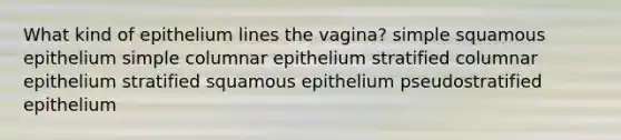 What kind of epithelium lines the vagina? simple squamous epithelium simple columnar epithelium stratified columnar epithelium stratified squamous epithelium pseudostratified epithelium